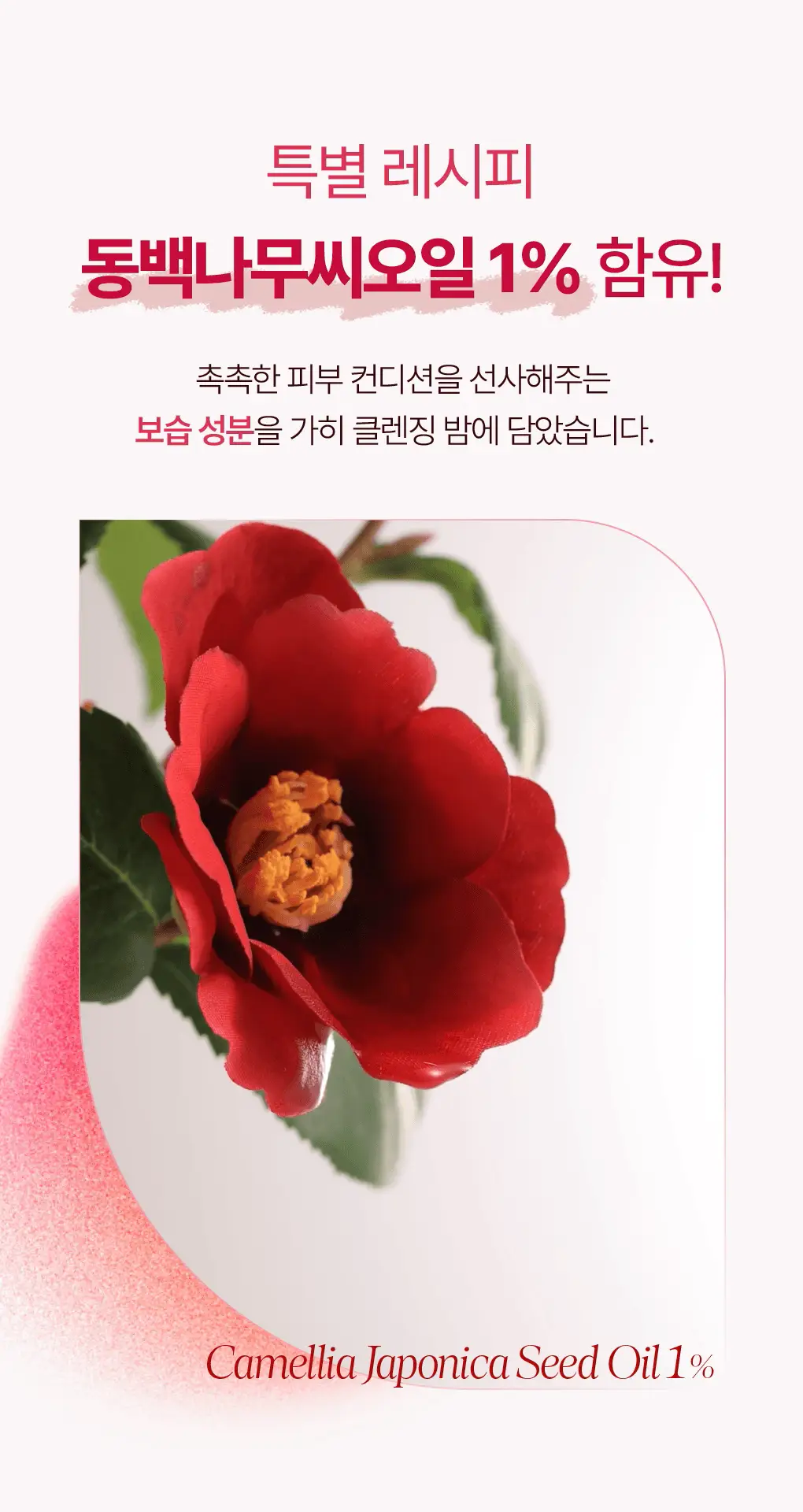 [갈아쓰는 클렌징밤/모공케어] 가히 클렌징밤 50ml 4종 택1 상세페이지 7